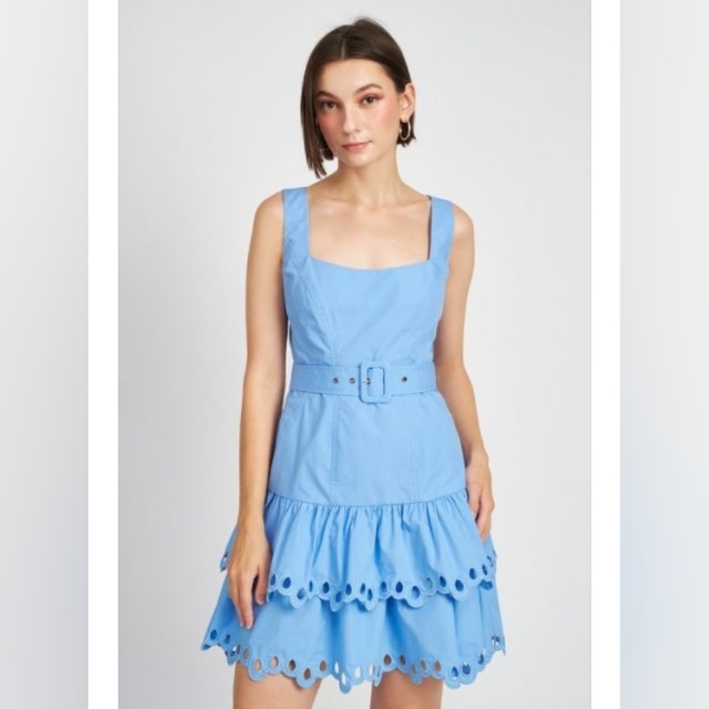 En Saison Crista Blue Eyelet Lace Ruffle Tiered Mini Dress Cotton Anthropologie - Picture 10 of 10